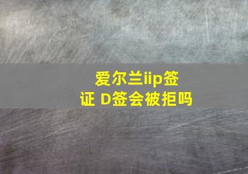 爱尔兰iip签证 D签会被拒吗